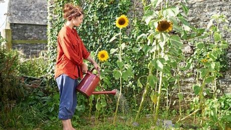 Does gardening really 'count' as exercise? Physiotherapist explains