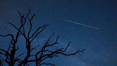 The Perseid Meteor Shower Begins Thursday: When To See It At Its Best