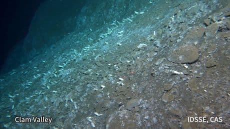Hidden Methane Cycle Found In The Deep-Sea