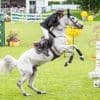 Jumping de La Baule. René Lopez Lizarazo, le plus français des cavaliers colombien