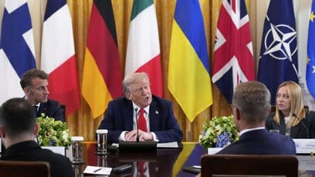 Trump’s not the stupid one here