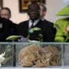 Namibia holds its first genocide remembrance day to mark mass killings by Germany