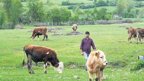 Destek paketiyle ‘bereket’ yağacak