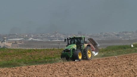 Israeli farmers bet on tequila to revive Gaza border