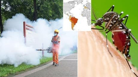 CDC issues another travel advisory over deadly chikungunya virus as it spreads from China
