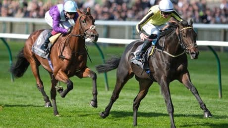 2,000 Guineas Betting Tips: Runners, Riders and Best Bets for Newmarket Classic