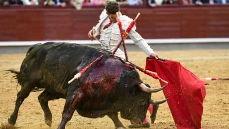 Gloria a Victoriano del Río: la excelencia de Frenoso o la verdadera bravura de vuelta al ruedo en Las Ventas