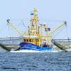 Fischerei: EU-Gericht nickt Fangverbote in der Nordsee ab