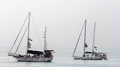 El largo viaje de los ingenuos