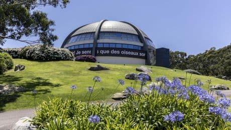 Zara sigue de aniversario: una instalación cinética llega a A Coruña para celebrar los 50 años de la tienda