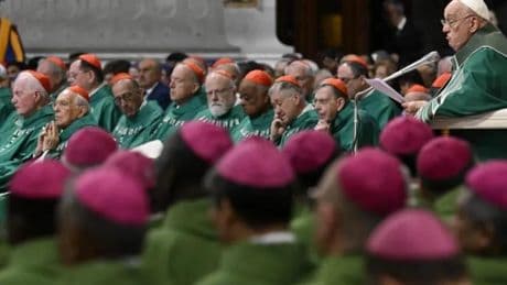 Francisco designó al 80% de los cardenales para que su sucesor no dé marcha atrás en la modernización de la Iglesia