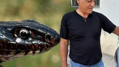 Yer: Tunceli! Tuvalete giren dev yılan korkuttu