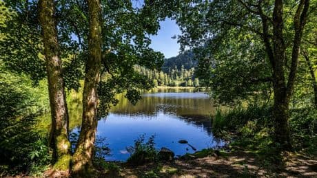 Mein magischer Ort: Ein Paradies mitten im Schwarzwald – wenn man den Nonnenmattweiher denn findet