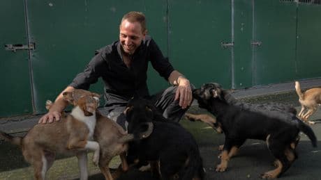 Kastration statt Tötung: Dieser Mann rettet Rumäniens Straßenhunde vor dem Tod