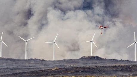 "Contra el fuego, todos jugamos en el mismo equipo"