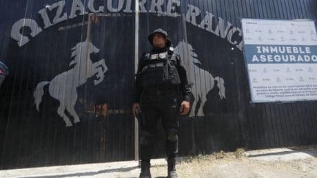 La «escuelita de terror» de México: peleas a muerte y torturas con cerdos hambrientos