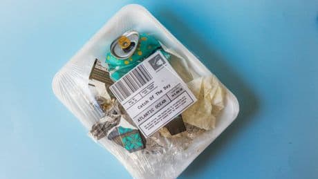 Microplásticos y salud: cómo el plástico está enfermando a generaciones enteras