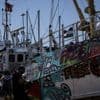 Flotille pour la liberté : deux élues LFI monteront le 18 juillet à bord d'un nouveau bateau humanitaire à destination de Gaza