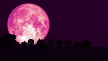 June's 'rare' Strawberry Moon won't happen again until 2043