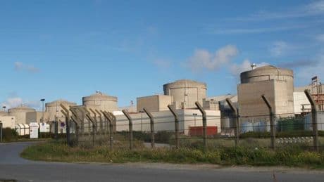 Invasione di meduse, allarme nella mega centrale nucleare francese: cosa è successo