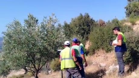 Zeytin katliamı mesaisi başladı
