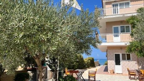 ‘My Greek villa had a gorgeous olive tree and now I can grow my own at home for £320 less’