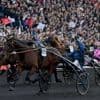Devenir propriétaire d’un cheval de course : un rêve accessible ? Les conseils d’une figure du trot