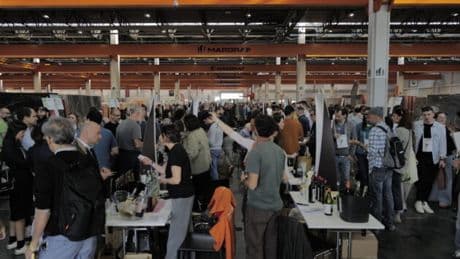 VinNatur compie 20 anni. Il “conclave” dei naturalisti sfida i colossi industriali: “Studiamo i difetti per migliorare i nostri vini”