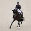 Reitsport: CHIO-Überraschung: Dressur-Star Werth zweimal geschlagen