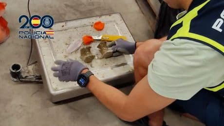 Droga como si fueran naranjas: así se ocultaban 3.500 kilos de hachís incautados en Vejer de la Frontera