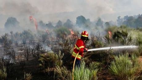 Portugal: Feuerwehrmann stirbt nach Einsatz gegen Waldbrand - viertes Todesopfer