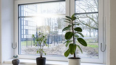 Deutsche Firma macht Fenster zur Heizung: In Köln sind sie schon im Einsatz