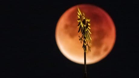 Niedersachsen: Blutmond am Sonntag – Diese Sternwarten sind offen