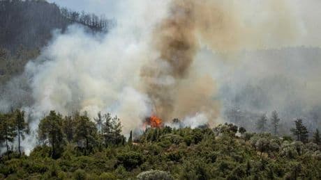 Menderes'teki orman yangınına ilişkin itfaiye raporu: Yangının elektrik kaynaklı olduğu kesinleşti