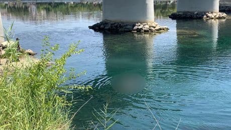 Fırat Nehri'nde kaybolan çocuğun cansız bedeni bulundu