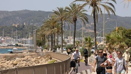 Panic in Majorca as tourism boss warns holiday apartments could be banned for good