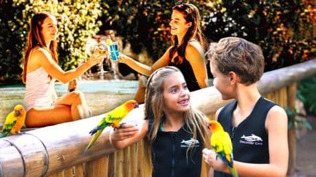 Planning a family holiday? How to save up to 40% on your 2026 Discovery Cove Orlando Tickets