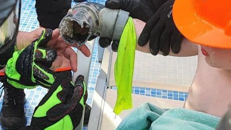 Brit four-year-old sucked into Majorca hotel swimming pool in holiday horror