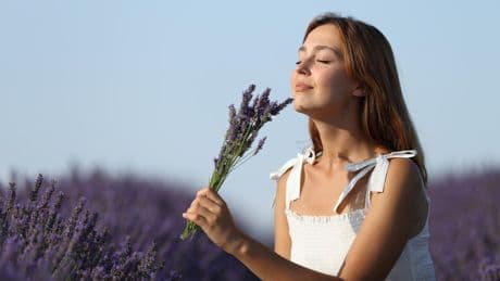 Alternativmedizin: Kann Aromatherapie wirklich alles heilen?