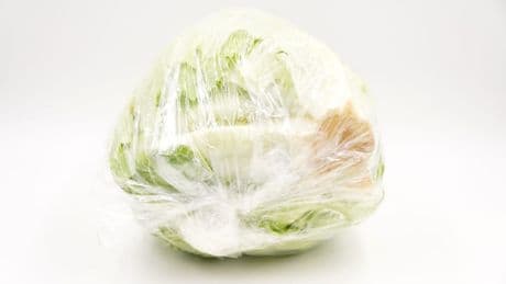 Plötzlich hüpfte es - Kröte im Salatkopf aus Supermarkt entdeckt