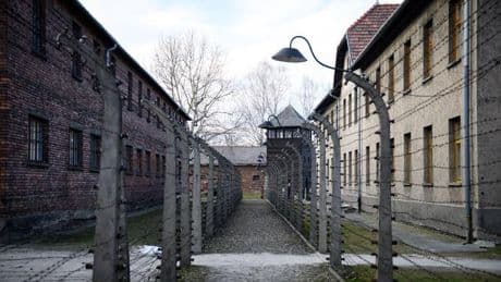 Kritik an Geste: Komitee kritisiert rechtsextreme Geste in KZ-Gedenkstätte