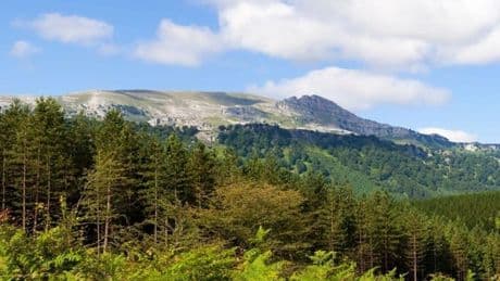 La Ertzaintza busca a un hombre de 86 años desaparecido desde ayer en el Gorbea