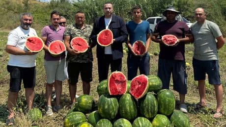 CHP’li Kaya: 'Karpuz üreticisi kan ağlıyor, Tarım Bakanı sahaya inmeli'
