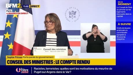 "On est dans l'action": la réponse de Sophie Primas au député RN Jean-Philippe Tanguy