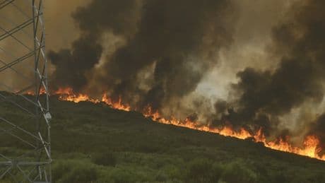 Las llamas avanzan en Galicia: suma 18 grandes incendios sin apagar y arrasan casi 43.500 hectáreas