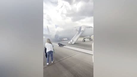Denver: Passagiere flüchten aus qualmender Boeing 737