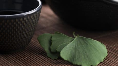 La hierba legendaria que cura y previene enfermedades: frena la pérdida de memoria y es rica en antioxidantes