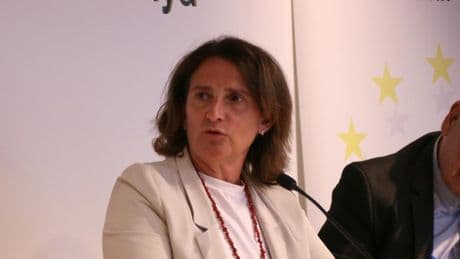 Ribera pide no demonizar las renovables y alerta de la falta de inversión en redes energéticas