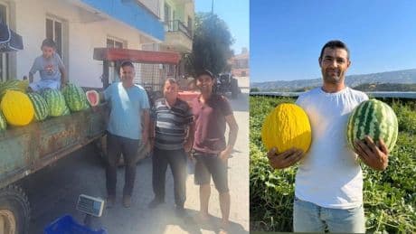 Tarlada kalmasın diye çözümü buldular: Baba-oğul ürünlerini traktörle satıyor!