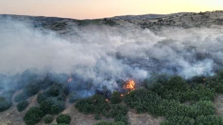 Manisa'da makilik alanda çıkan yangın söndürüldü